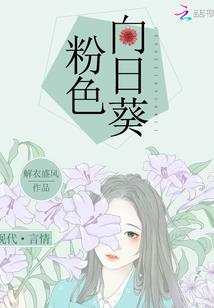 海贼之大船商