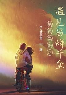 天盗传奇