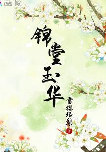 口袋圣经