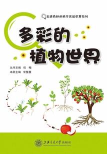心海小镇