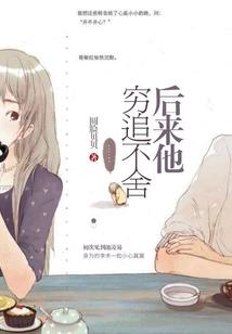 混沌天之风林传