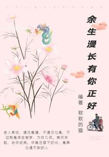 我只是个山贼