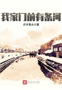 穿越之宁格的奋斗