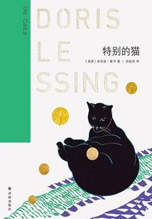 寻忆成仙