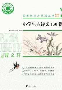 穿越之小姐身子妇人心