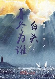 一纸朝夕风起时