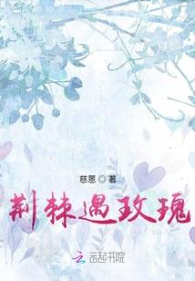 已知爱的方程式求解