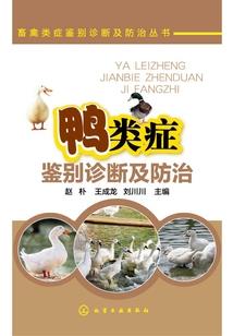 从港片开始成神