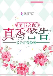 圣女重生之君子子辰