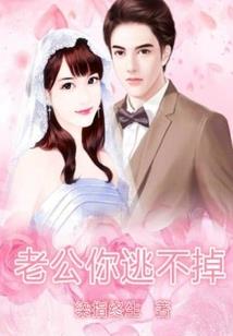 南淮北洛