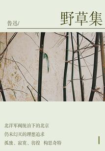 紫幻谜情