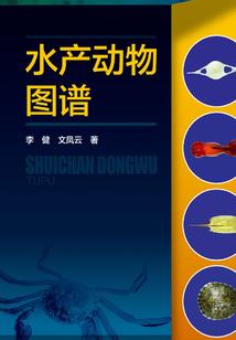 欲望玄镜