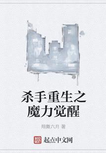 江湖之丐帮帮主