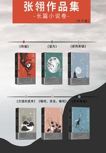 遇玖惊时光