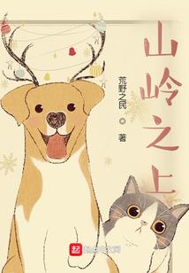 牛牛于王子