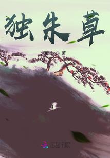 火影三国杀传记