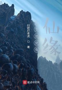 重生之梦回十二年