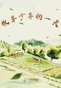 平行领域