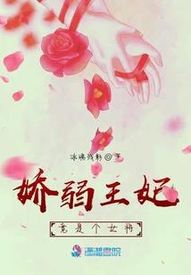 霸气重生之圣灵空间