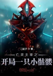 仙界之源——灵武纪