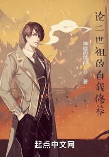 假面骑士之骑士继承者