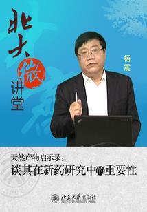 破穹之翼