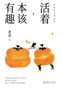 皇叔轻轻抱：国民公主太撩人