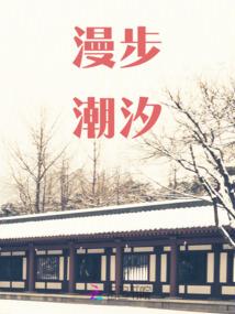 恶魔少爷别吻我外传