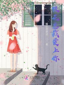 混沌物象