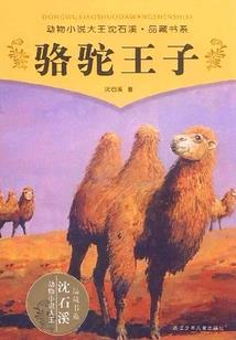 你好我的二分之一