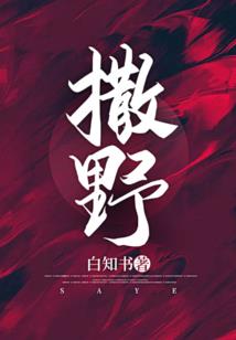 文游对决之寒冰佣兵团
