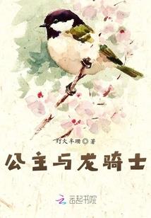 星文明之天堤