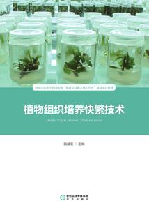 人型傀儡
