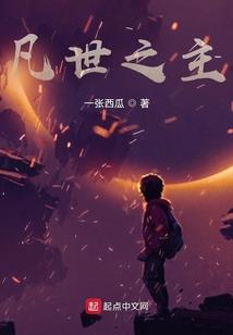 反光影镜