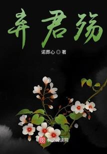 青春的小巷之鳞光