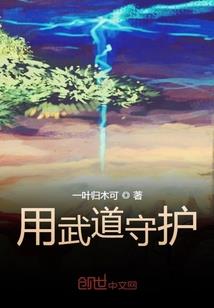 犹未雪踏破贺兰山阙