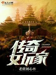 情引鸾凤离