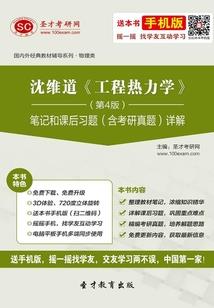 假公主的恋爱恋曲