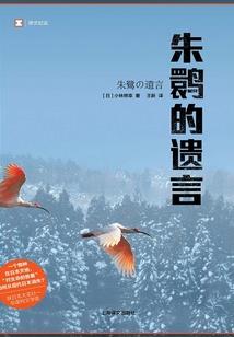 宿弑飘零