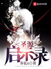 中央城的故事
