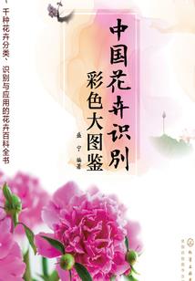 给爸妈的一封信