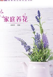 功法合成分解系统