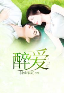 Z机甲