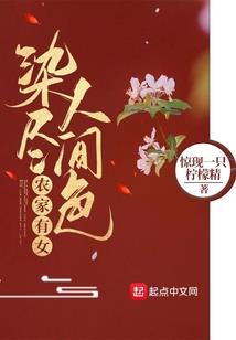 圣皇记