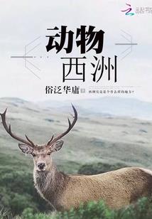 女尊之狂傲一世