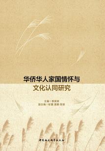 暗控，被遗忘的影子
