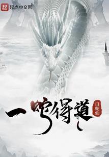 狗狗玩转世界