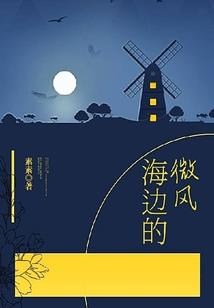 暖男追妻记
