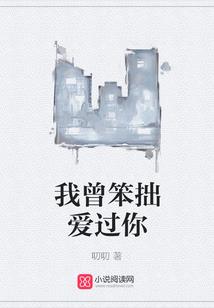 破天圣皇记