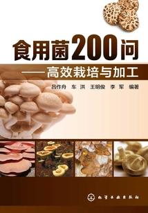 那年夏末我们正年少